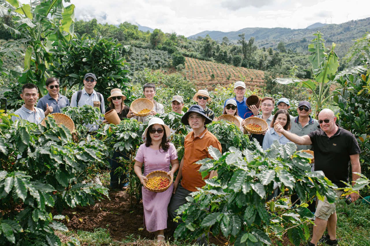 Tour c&agrave; ph&ecirc; Khe Sanh đem đến cho du kh&aacute;ch những trải nghiệm th&uacute; vị